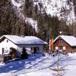 Raineralm