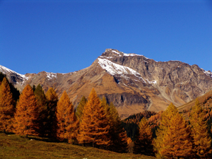 Mallnitz - Herbst