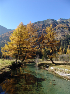 Mallnitz - Herbst